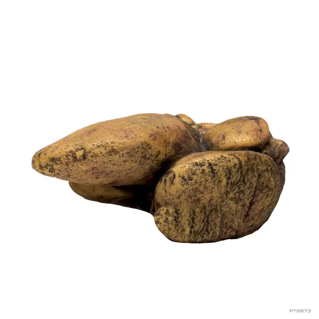 exo-terra-elevated-outcrop-small-erh-hte-sonnenliege-f-r-terrarien image 1