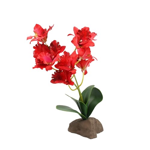 lucky-reptile-scape-it-easy-orchidee-klein-lila-ca-35-cm-dekopflanze-f-r-terrari image 8