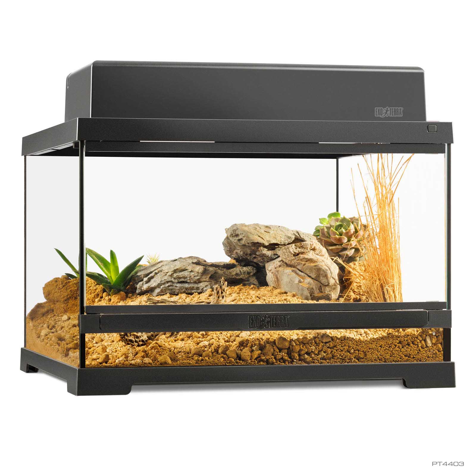 exo-terra-pro-terrarium-small-low-glasterrarium image 2