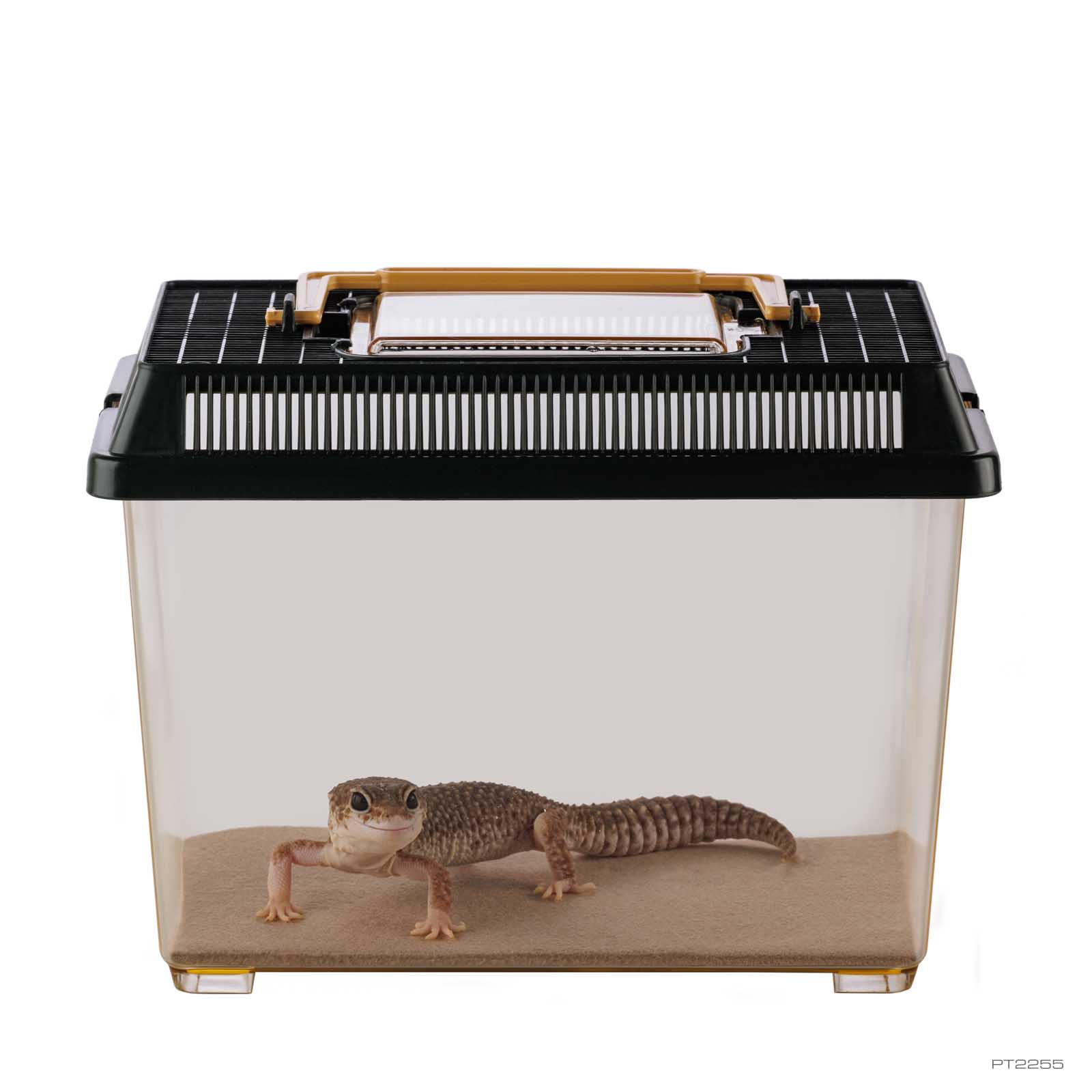 exo-terra-faunarium-small-kunststoff-terrarium-stapelbar image 4