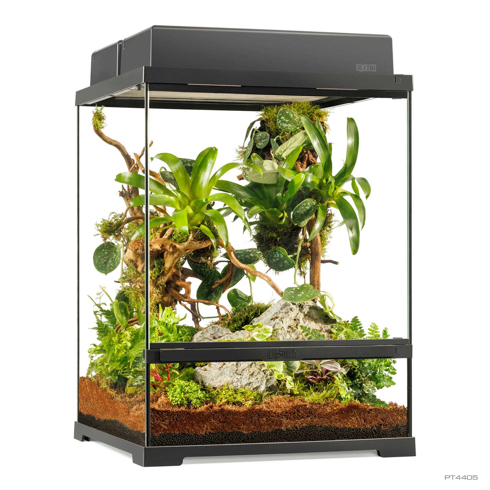 exo-terra-pro-terrarium-small-tall-nat-rliches-hochterrarium-f-r-reptilien image 3