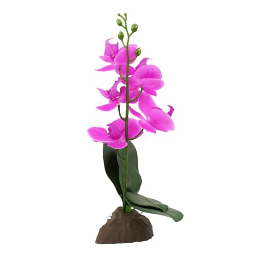 lucky-reptile-scape-it-easy-orchidee-klein-lila-ca-35-cm-dekopflanze-f-r-terrari image 6