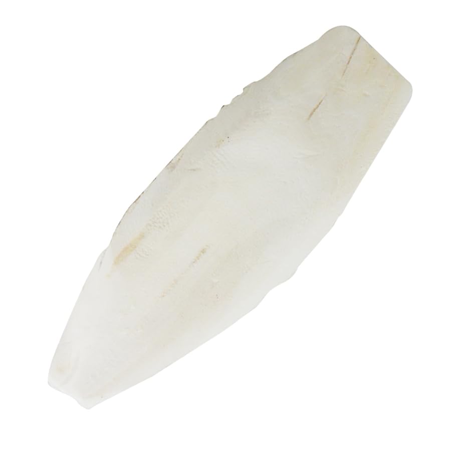 lucky-reptile-sepia-bone-s-doppelpack-unter-16-cm-sepiaschale image 5