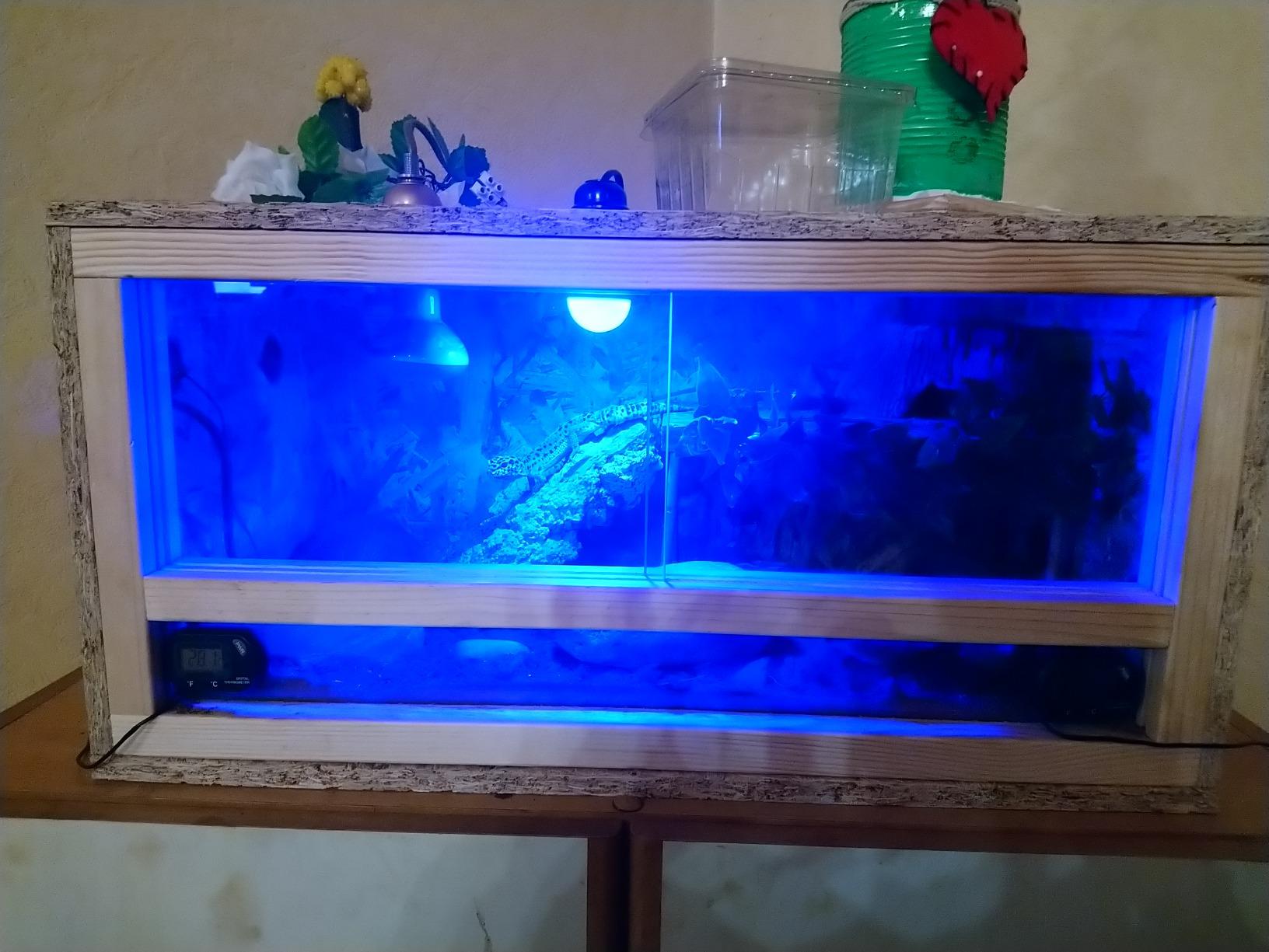 Perfekt fürs Terrarium