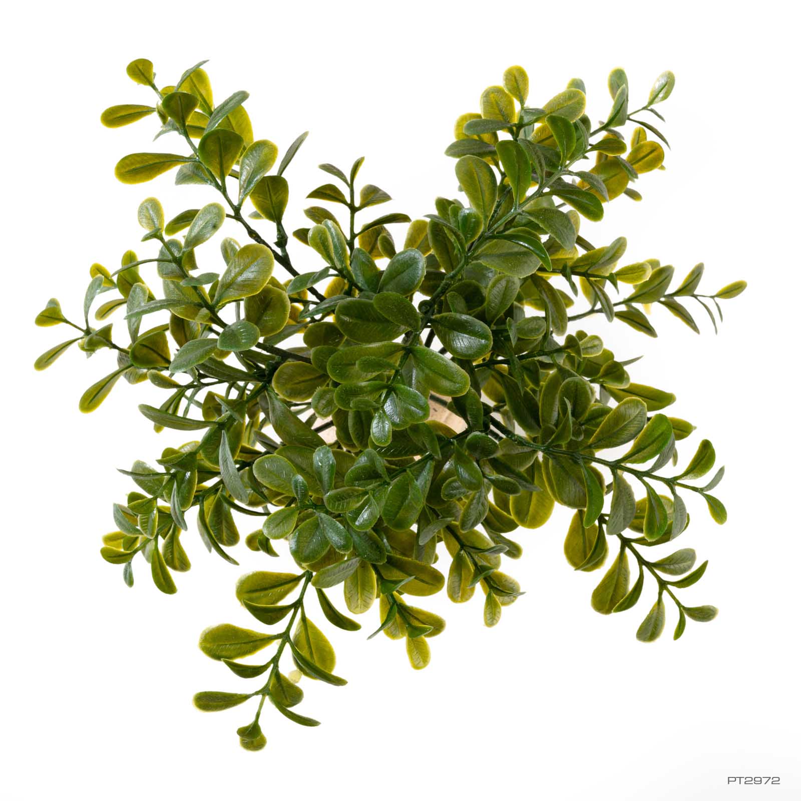 exo-terra-calcarea-boxwood-k-nstliche-terrarienpflanze-buchs image 2