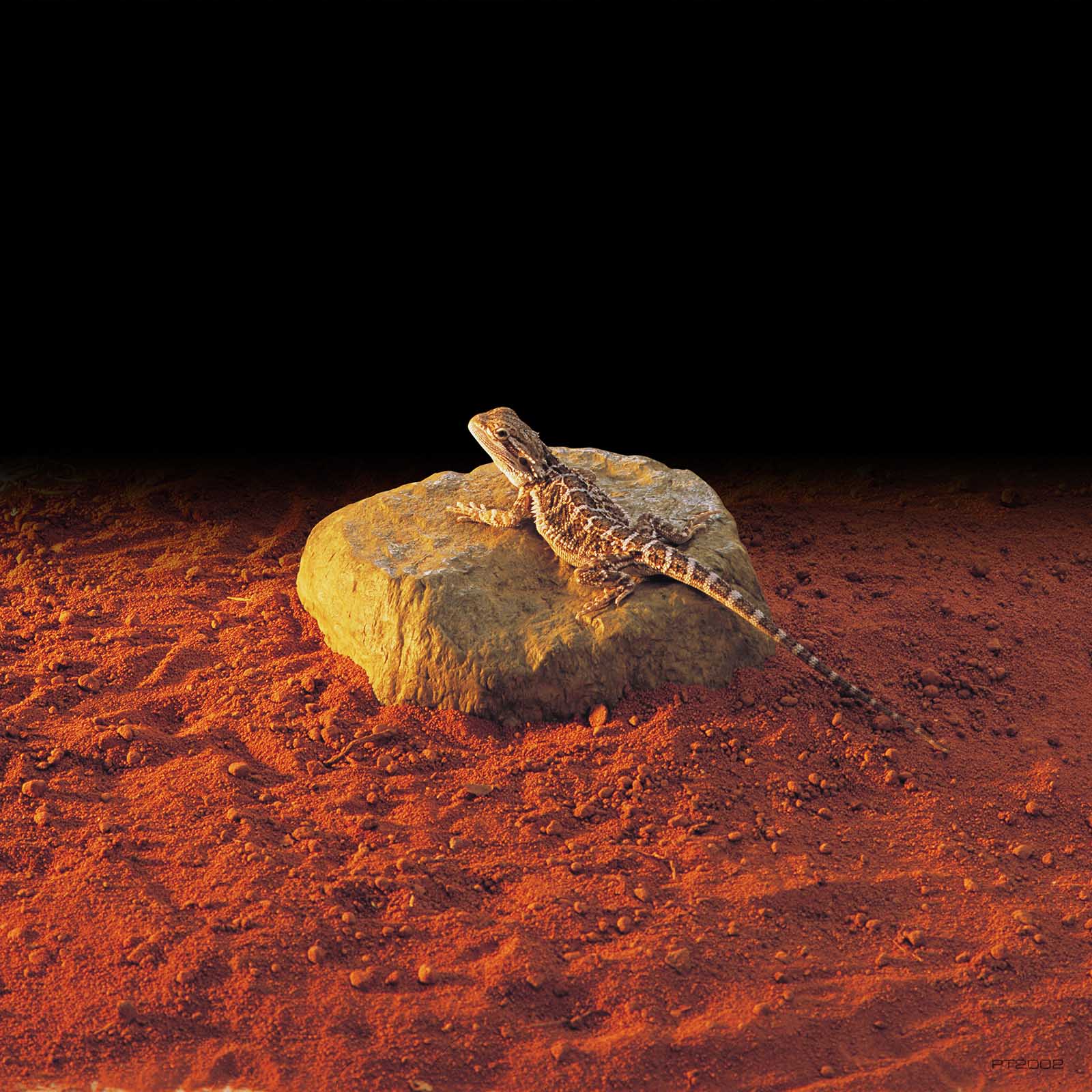 exo-terra-heat-wave-rock-medium-10w-beheizter-w-rmestein-f-r-terrarien image 3
