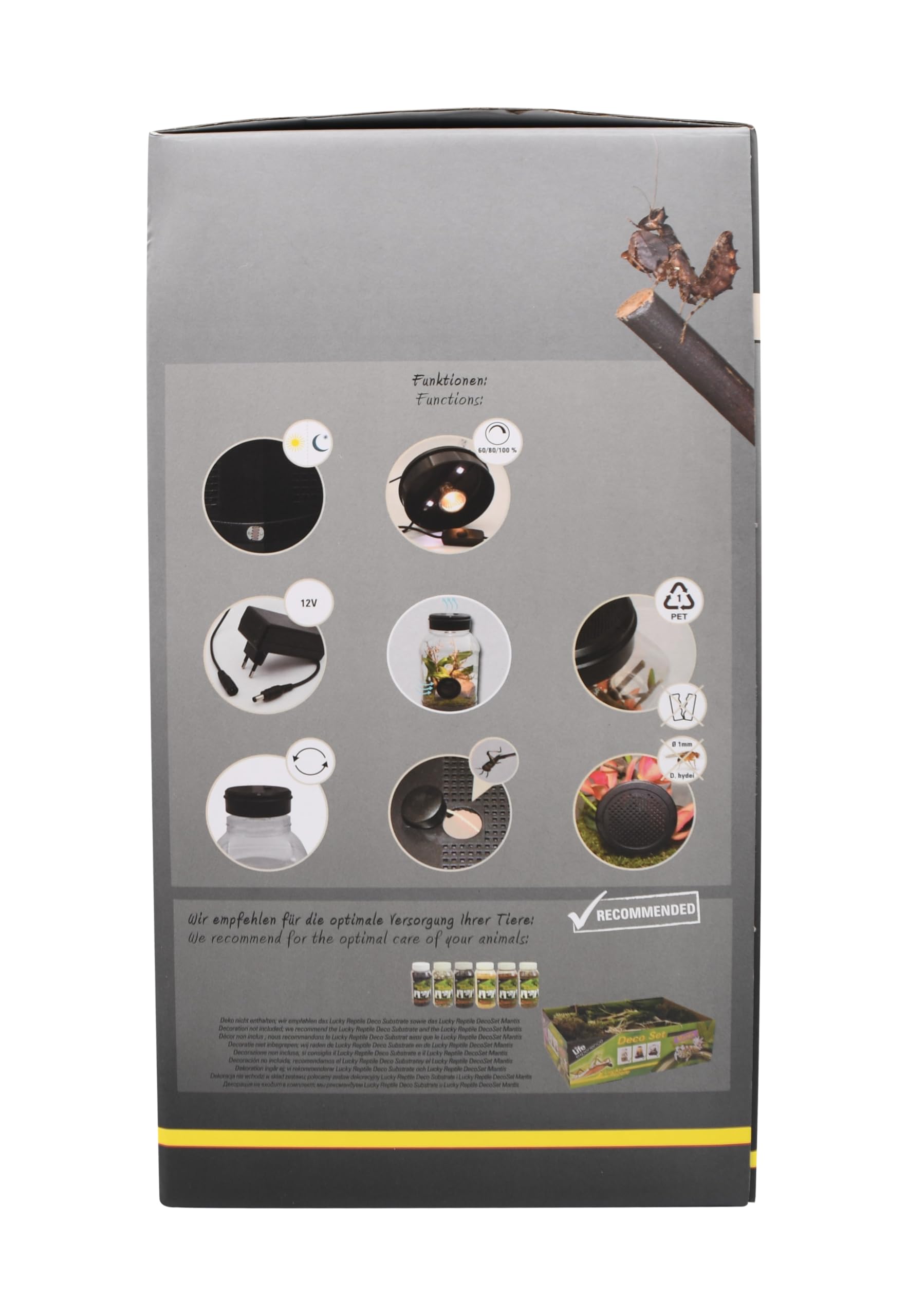 lucky-reptile-mantistarrium-kleinterrarium-18x18x35-cm-f-r-gottesanbeterinnen image 3