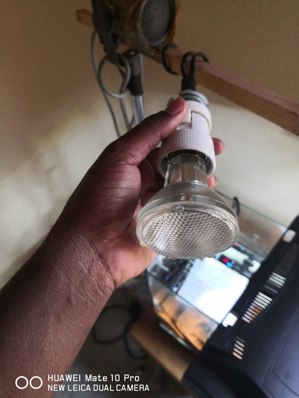 Endlich richtig Licht im Dschungelterrarium