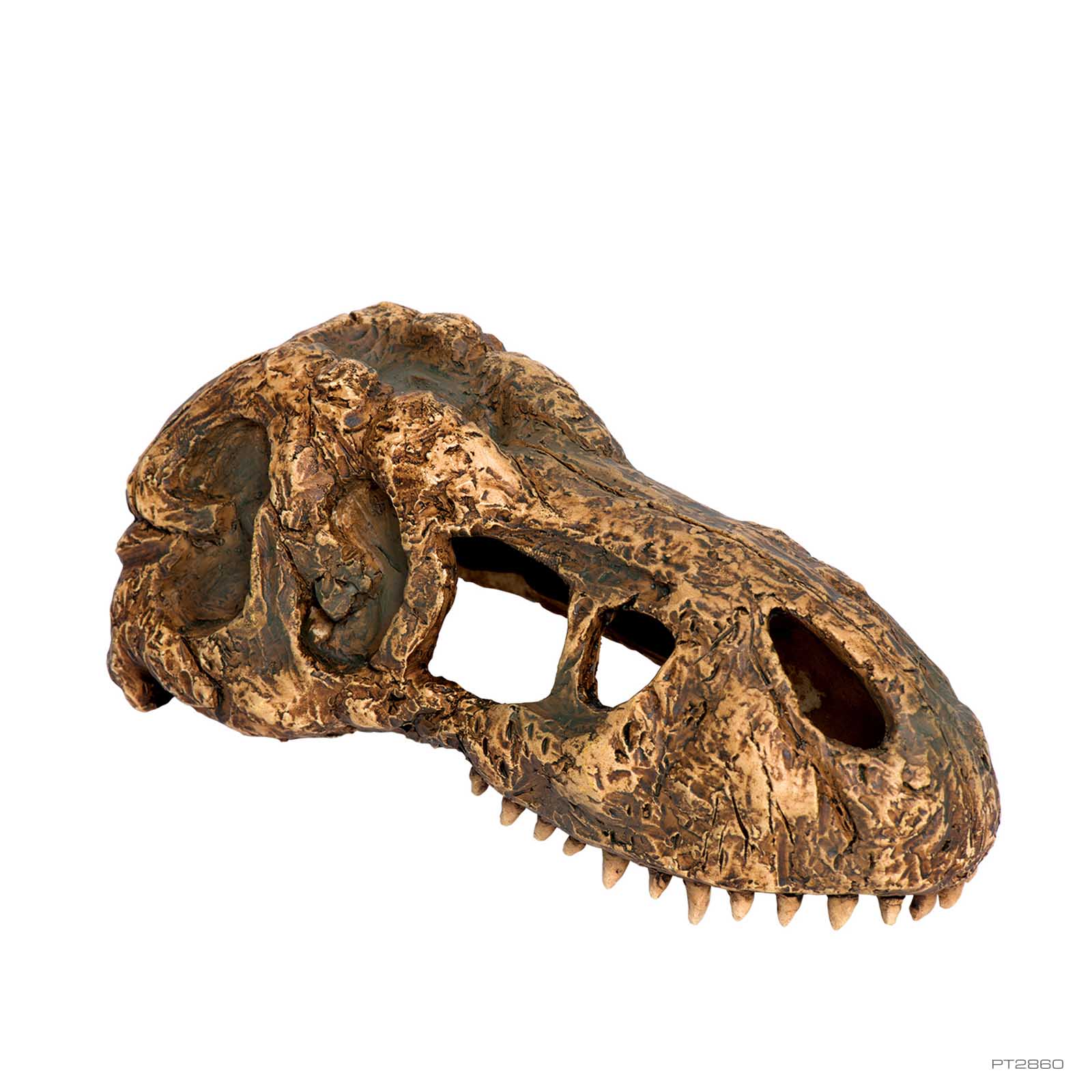 exo-terra-t-rex-skull-small-deko-versteck image 1