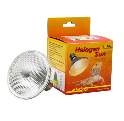 lucky-reptile-halogen-sun-w-rmestrahler-100-w-f-r-e27-fassung-halogen-terrarium- image 2