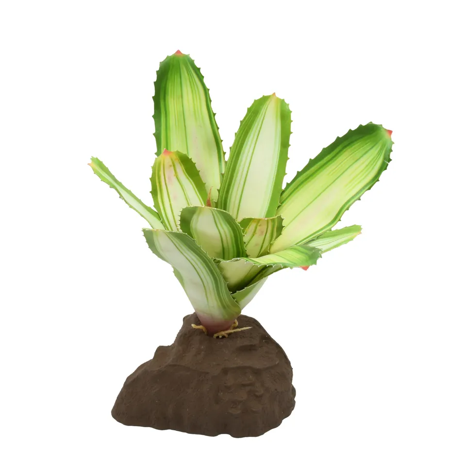 lucky-reptile-scape-it-easy-bromelie-neoregelia-wei-ca-20-cm-terrarien-dekopflan image 1