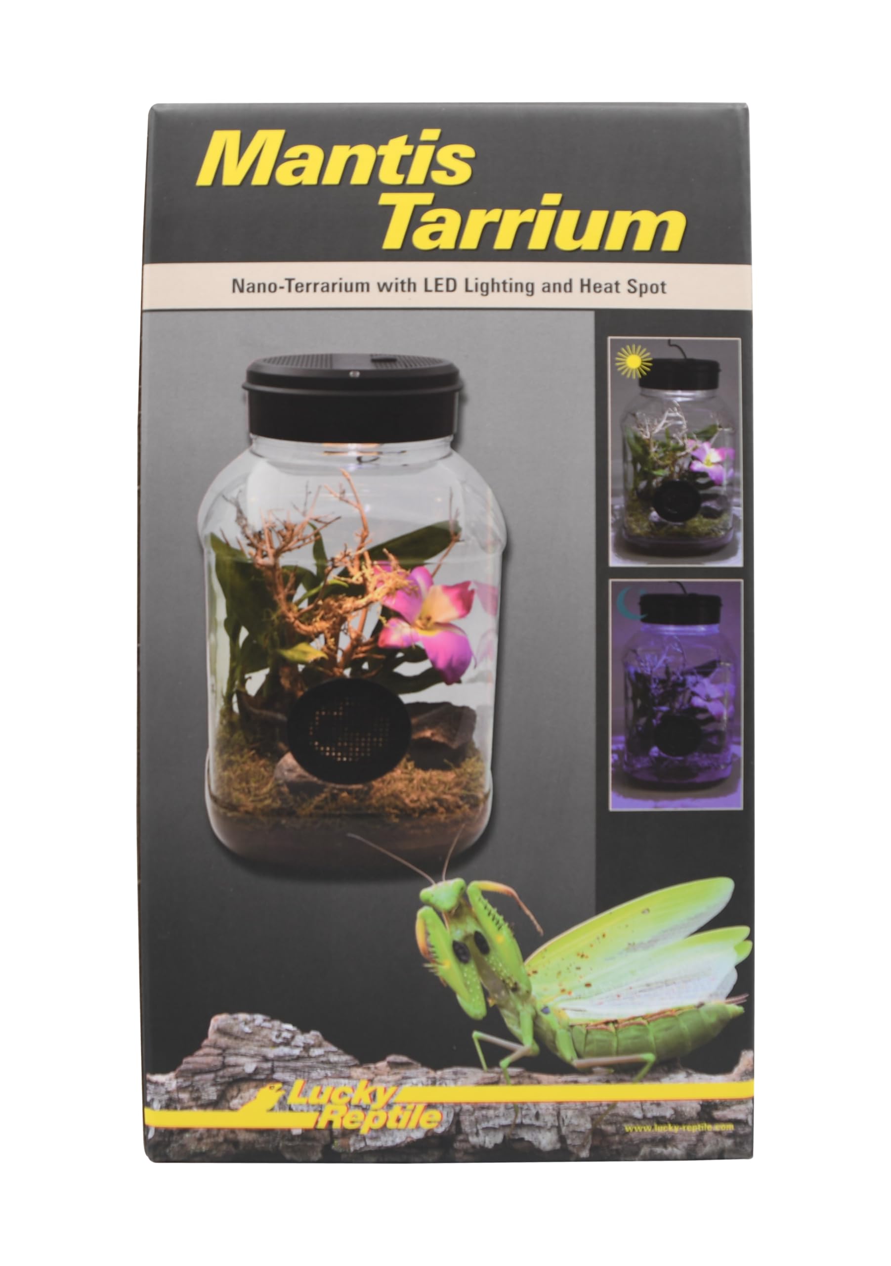 lucky-reptile-mantistarrium-kleinterrarium-18x18x35-cm-f-r-gottesanbeterinnen image 2