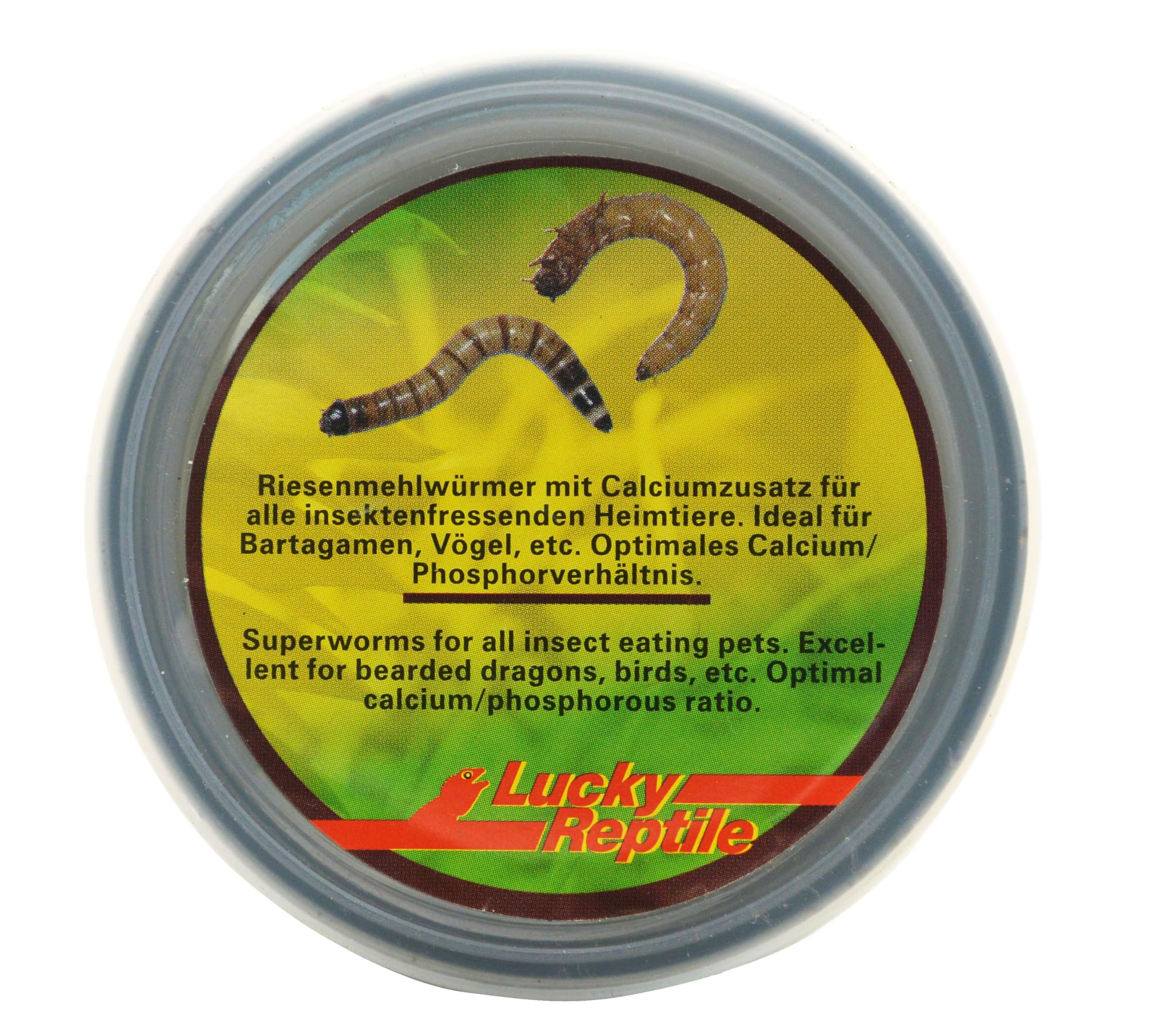 lucky-reptile-herp-diner-superworms-futterdose image 2