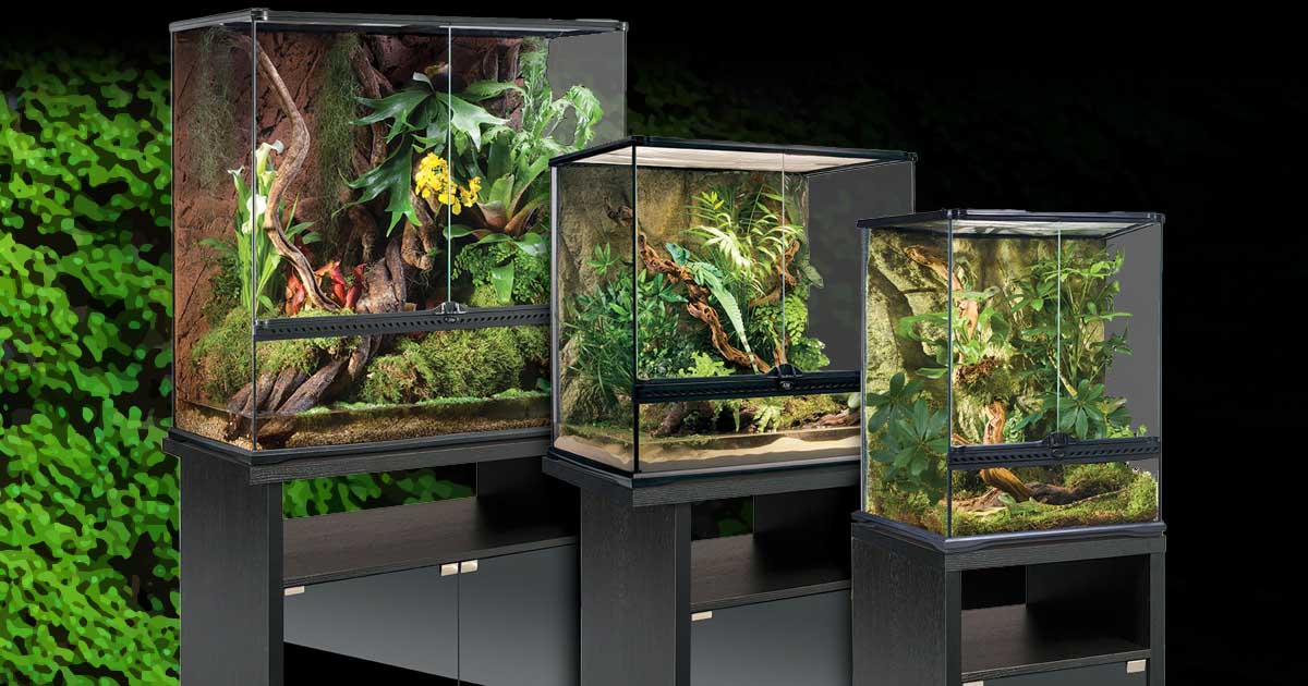 exo-terra-terrarium-cabinet-unterschrank-schwarz-mit-glast-ren image 1