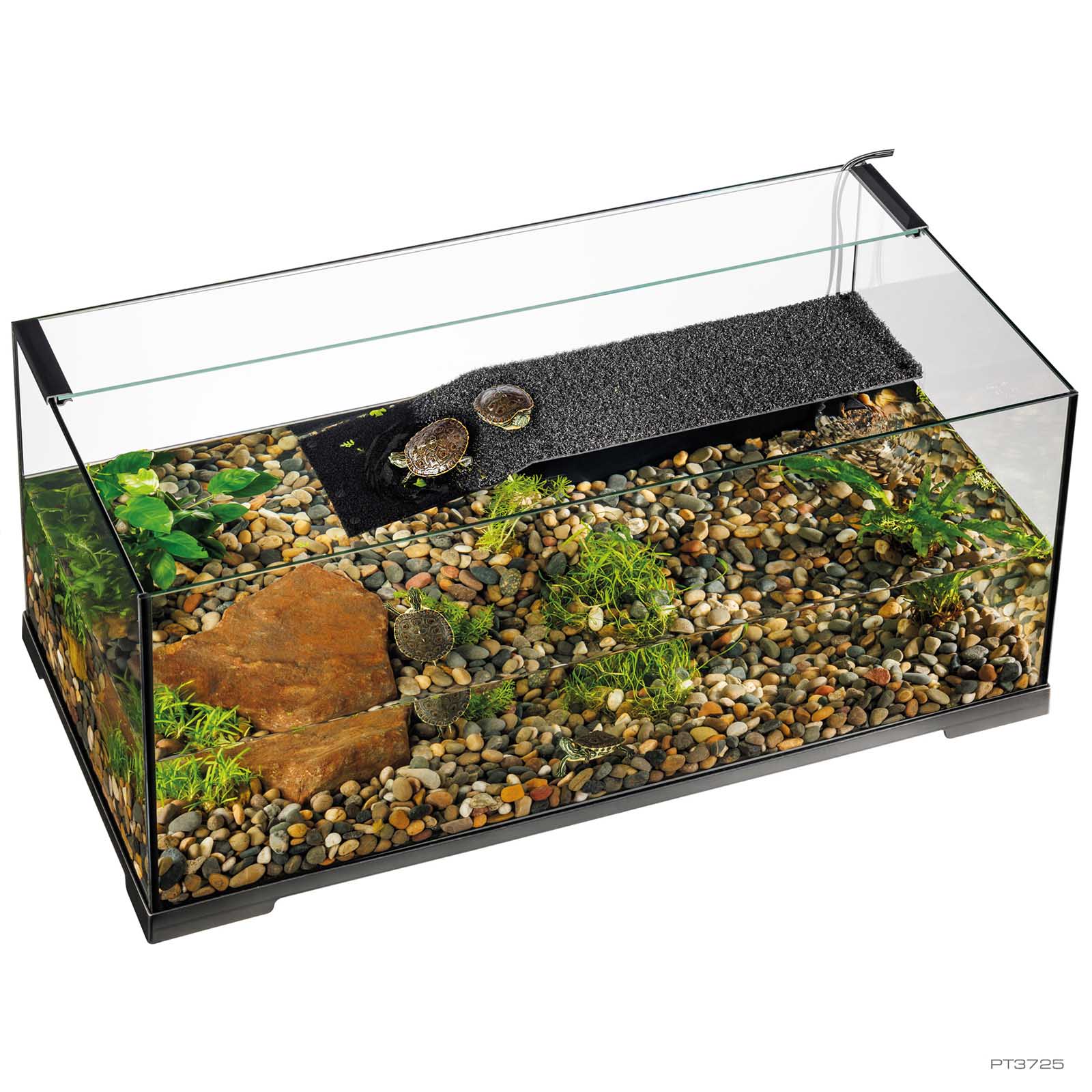 exo-terra-turtle-haven-aquaterrarium-aus-glas image 1