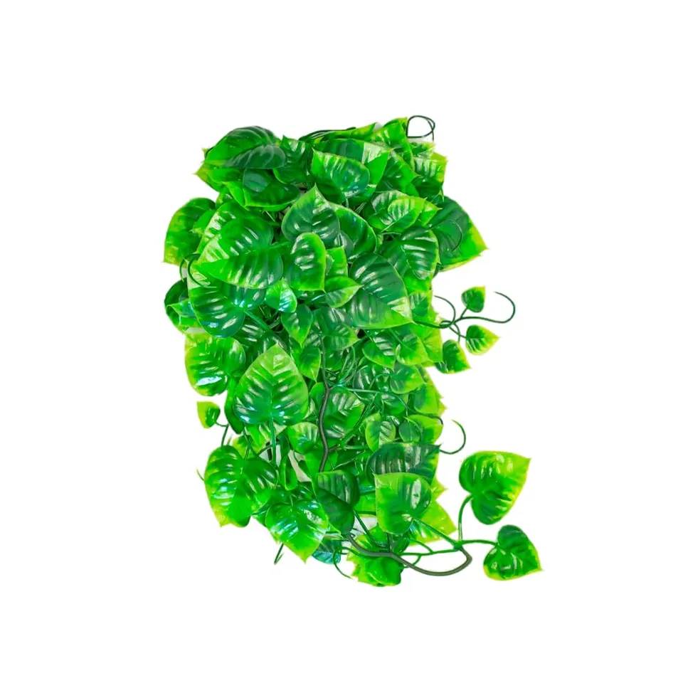 lucky-reptile-philo-64566-h-ngepflanze-terrariendeko-150-g image 1