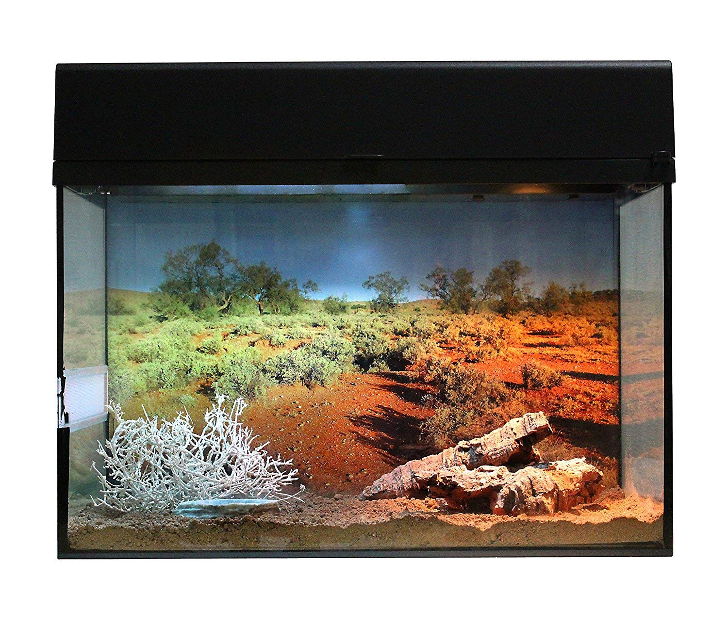 lucky-reptile-starter-kit-w-stengecko-50-x-28-x-40-cm-wei image 8