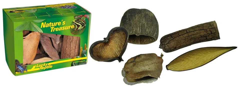lucky-reptile-db-01-nature-s-treasure-deko-box-naturdeko image 1