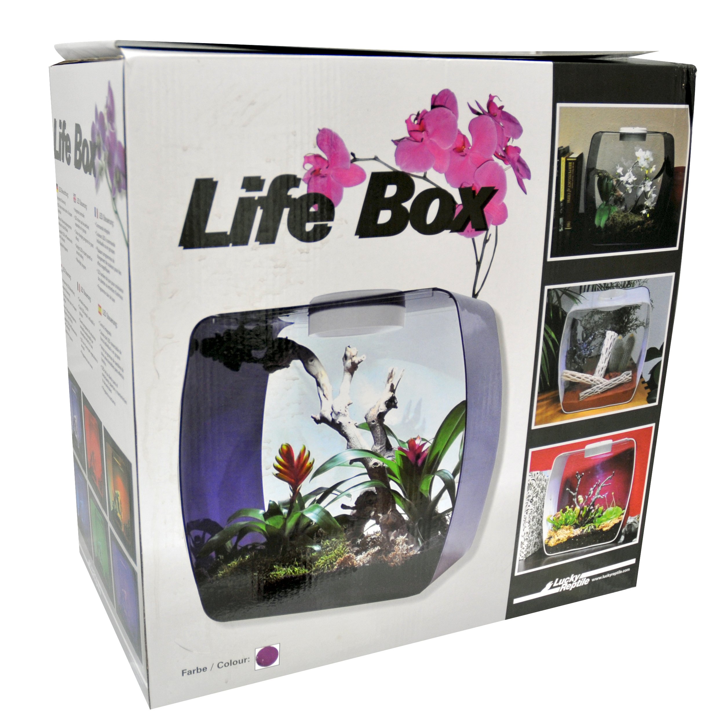 lucky-reptile-lb-30op-life-box-30-designterrarium-acrylglas-beere-30x18x30-cm image 1
