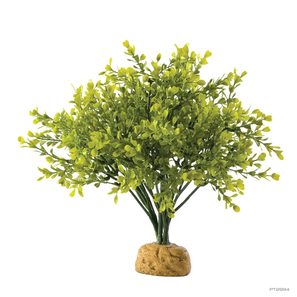 exo-terra-boxwood-bush-k-nstliche-terrarium-pflanze image 1