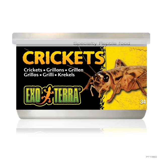 exo-terra-crickets-34-g-dosenfutter-grillen image 1