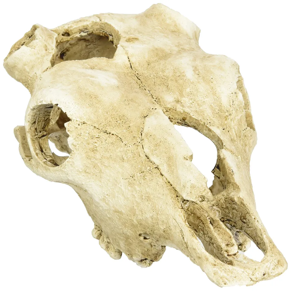 lucky-reptile-deco-skull-cow-kuhsch-del-terrarien-deko-22-cm image 1