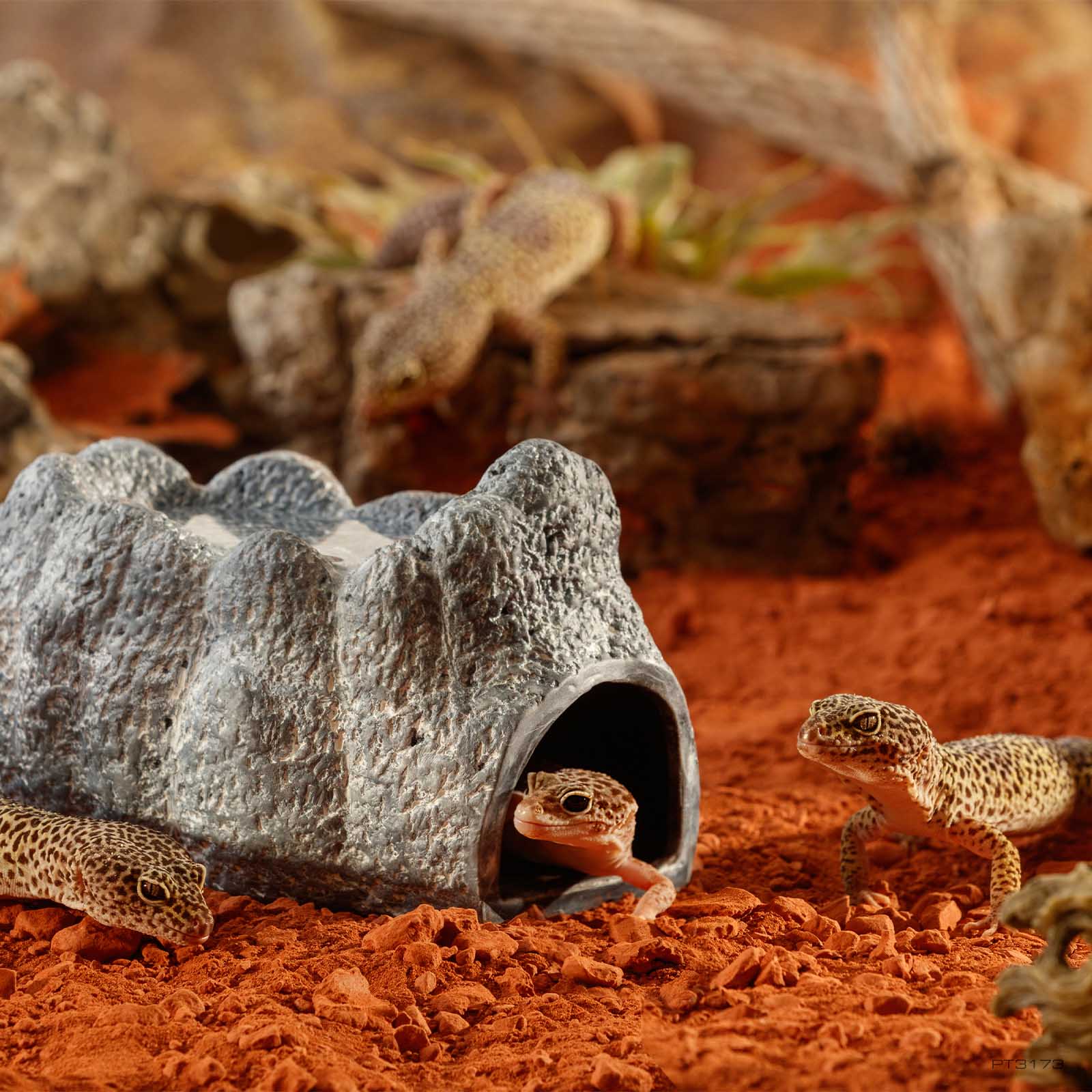exo-terra-wet-rock-large-feuchte-keramik-h-hle-f-r-reptilien image 2
