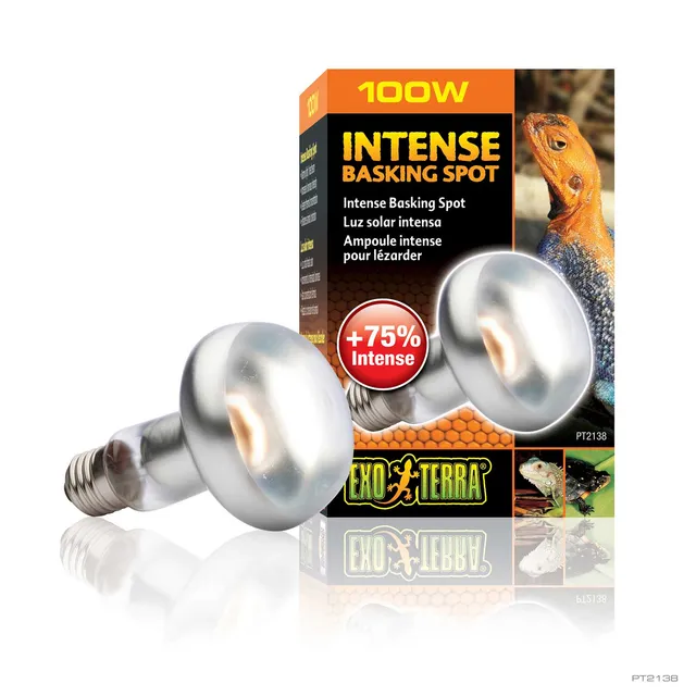 exo-terra-intense-basking-spot-100w-w-rmespotlampe image 1