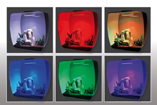 lucky-reptile-ll-1-life-light-multicolor-led-leuchte-f-r-insect-tarrium image 8