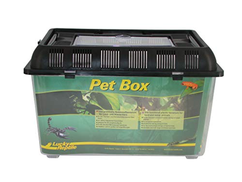 lucky-reptile-pet-box-mittel-kunststoffterrarium-mit-futterluke image 7