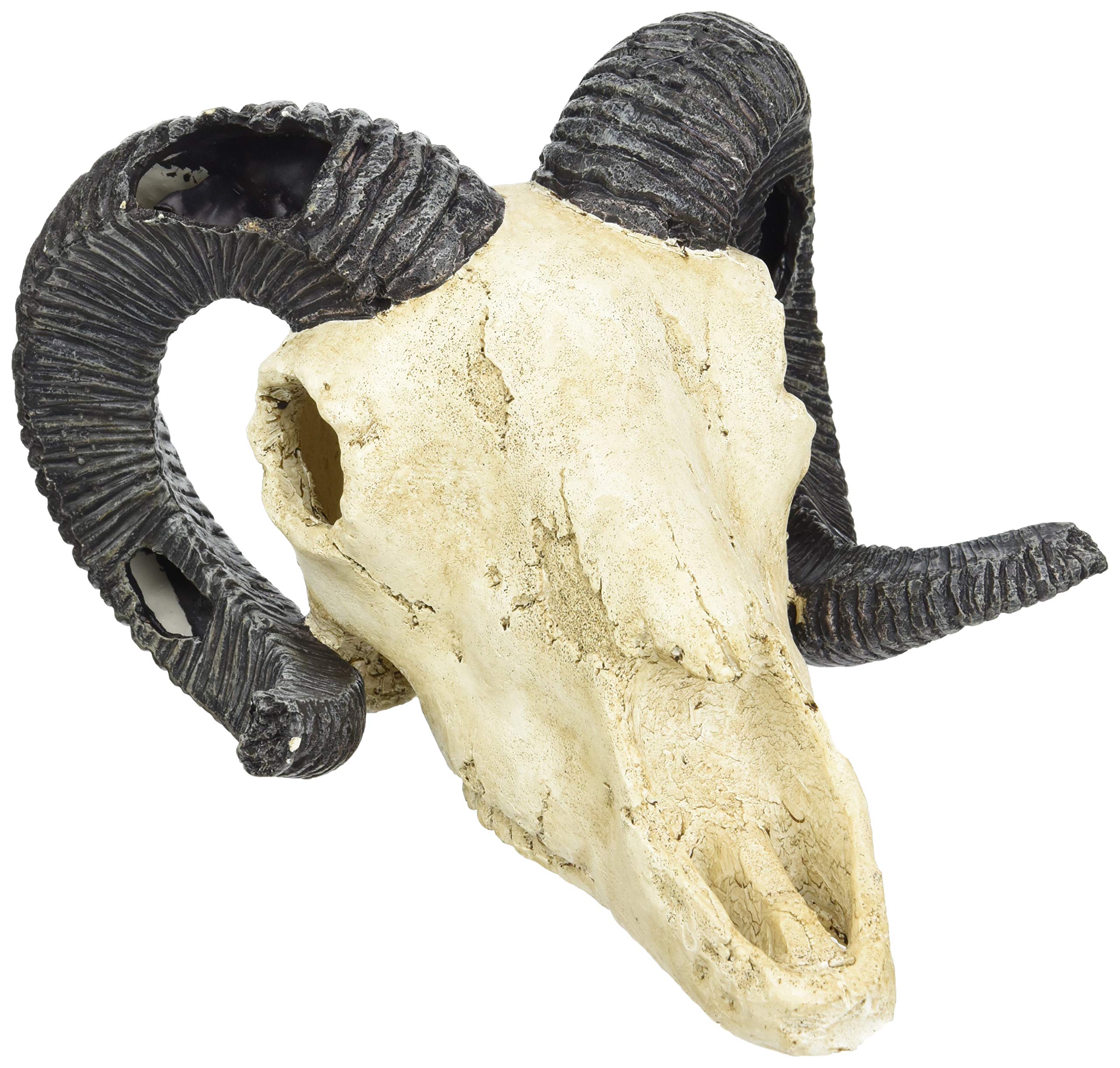 lucky-reptile-deco-skull-cow-kuhsch-del-terrarien-deko-22-cm image 5