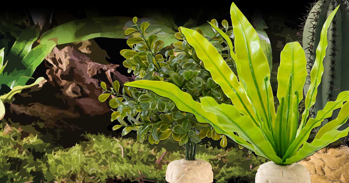 exo-terra-plants-bodenpflanze-k-nstliche-terrarienpflanze image 1