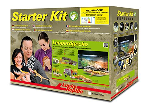 lucky-reptile-starter-kit-leopardgecko-komplett-terrarium-80-x-40-x-52-cm-wei image 6