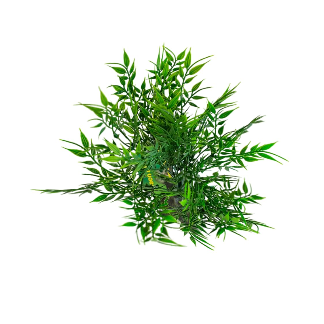 lucky-reptile-bambusb-schel-64702-terrariendeko-25-cm-210-g image 3