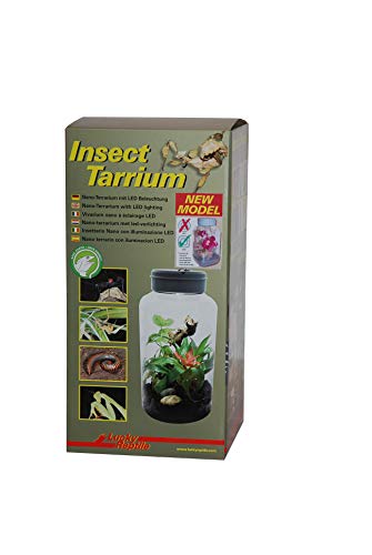 lucky-reptile-insect-tarrium-nanoterrarium-mit-led-17-7-x-17-5-x-36-cm image 5