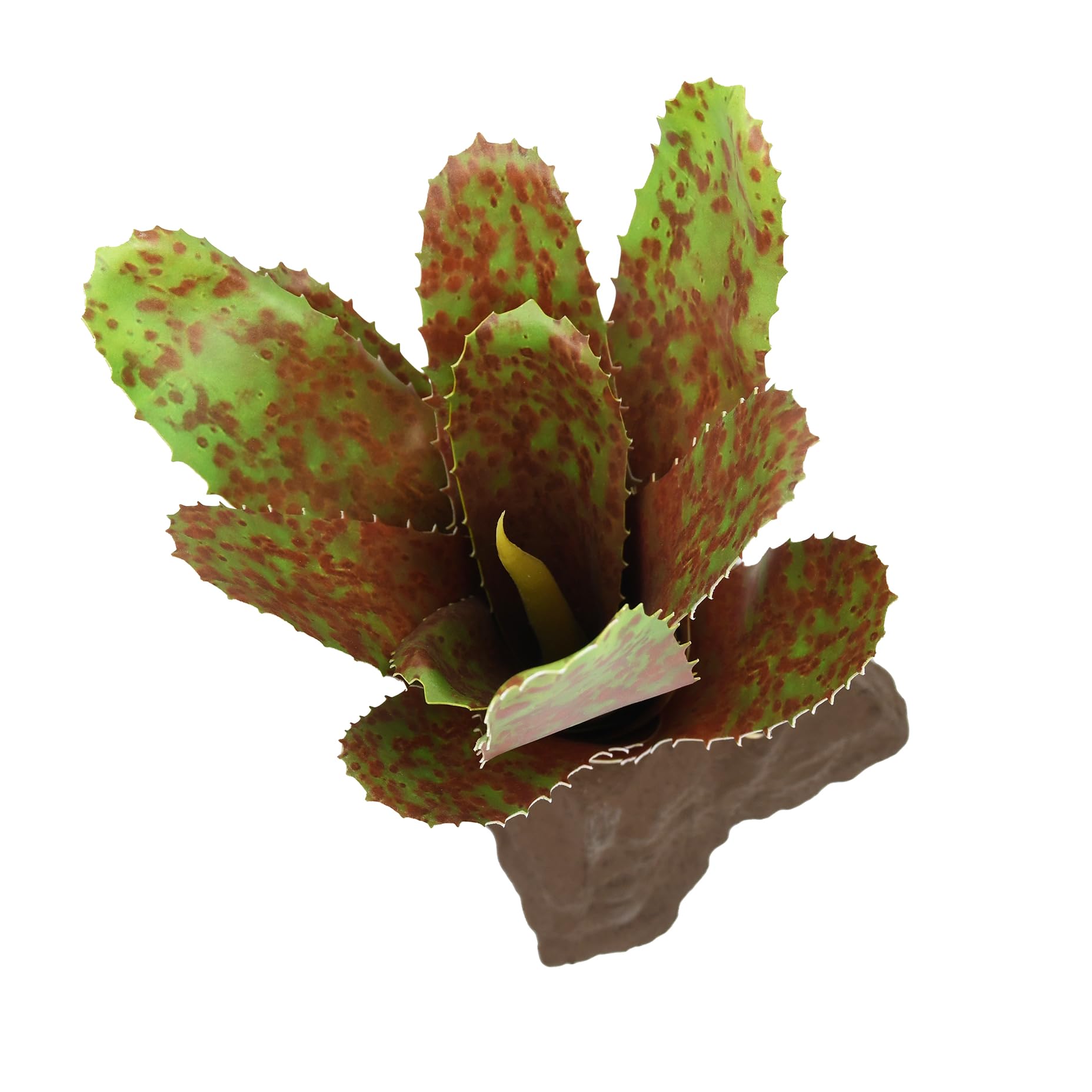 lucky-reptile-scape-it-easy-bromelie-neoregelia-gr-n-ca-20-cm-dekopflanze image 2