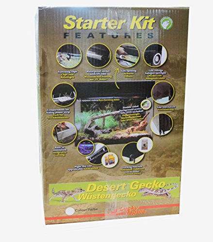 lucky-reptile-starter-kit-bartagame-80x40x52-cm-schwarz-komplett-terrarium image 7