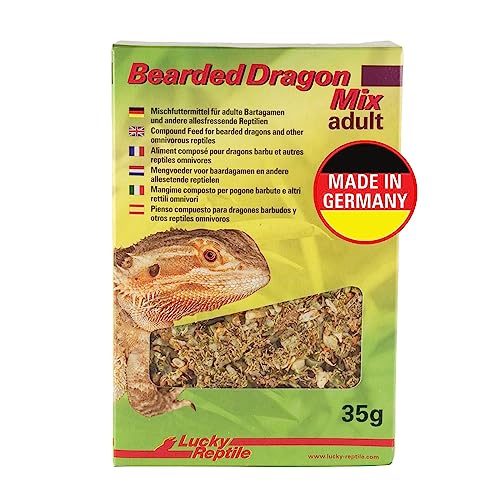 lucky-reptile-bearded-dragon-mix-adult-70-g image 5