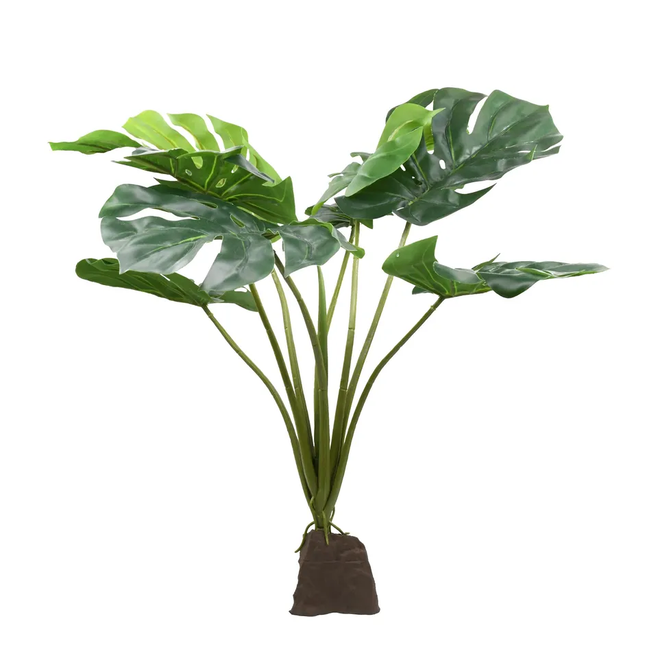 lucky-reptile-monstera-60cm-k-nstliche-terrarienpflanze image 1