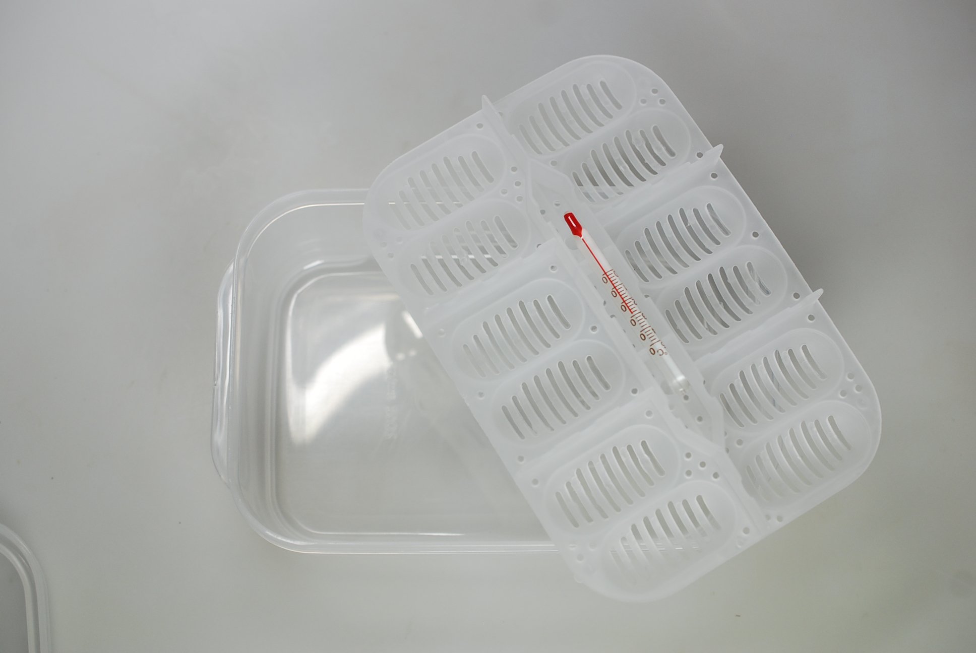 lucky-reptile-hatchbox-brutbox-f-r-reptilieneier-inkubationsbox-f-r-12-eier-bis- image 7