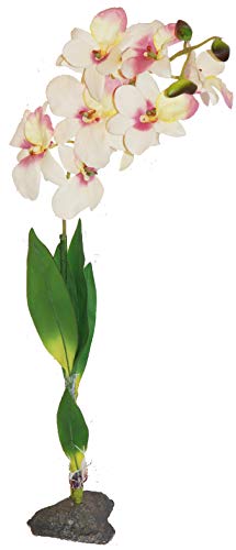 lucky-reptile-orchidee-wei-kunstpflanze-ca-40-cm image 2