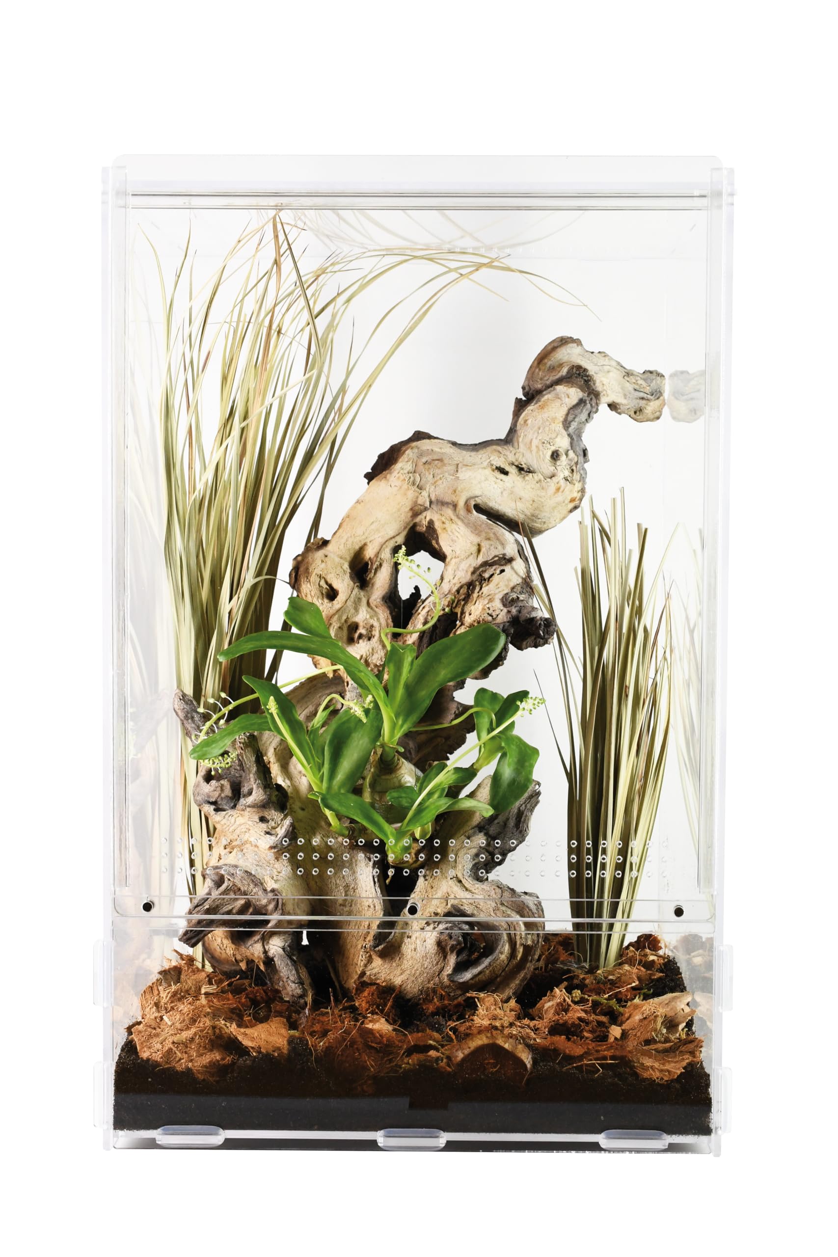 lucky-reptile-lifetarrium-terrarium-30-x-30-x-45-cm image 4