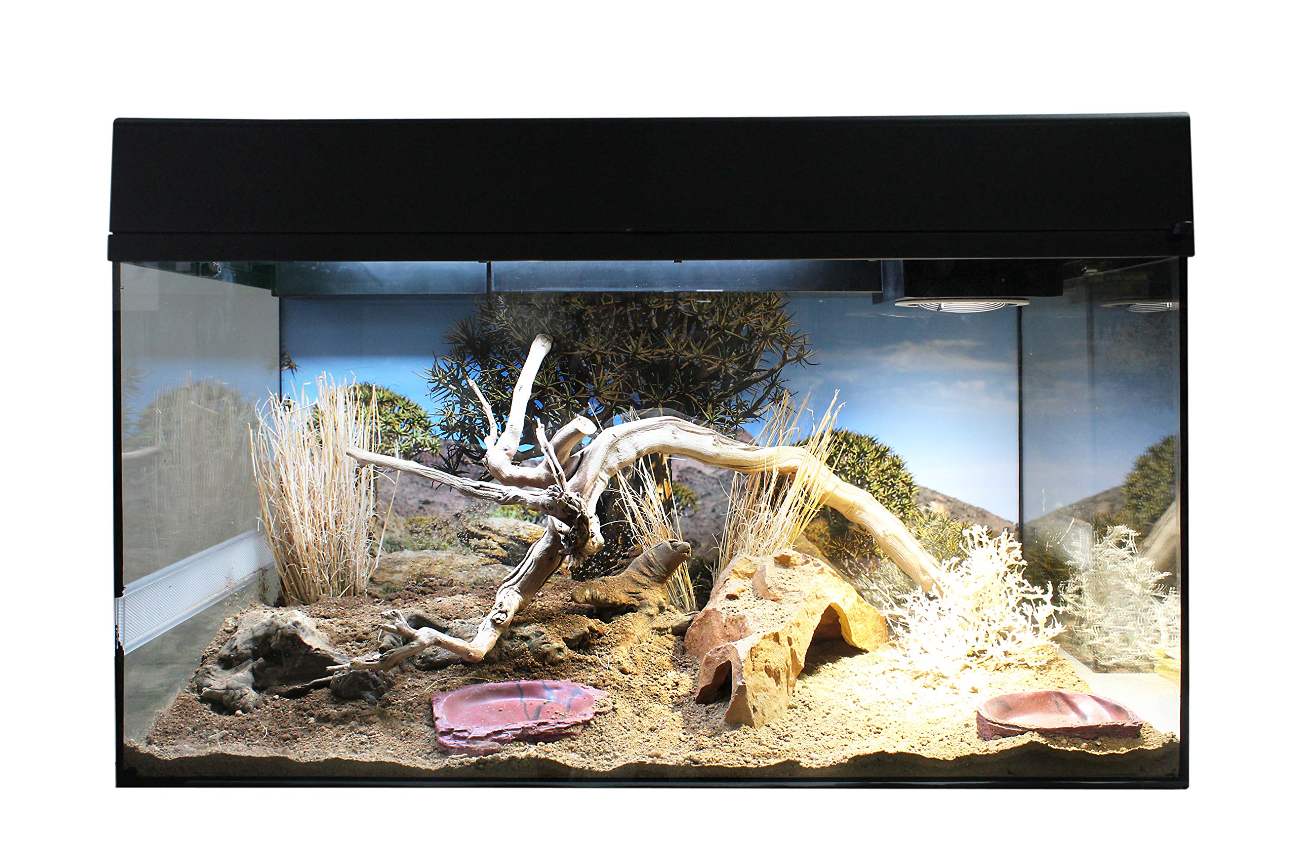 lucky-reptile-turtle-dish-wasserschale-lava-14-x-12-x-2-cm image 3
