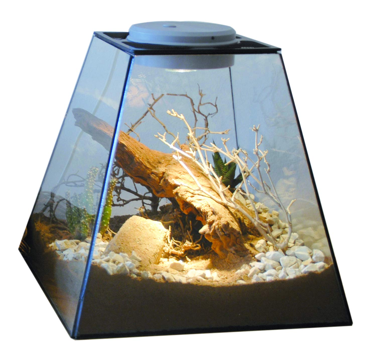 lucky-reptile-life-experience-deco-set-w-ste-f-r-nano-terrarien image 4