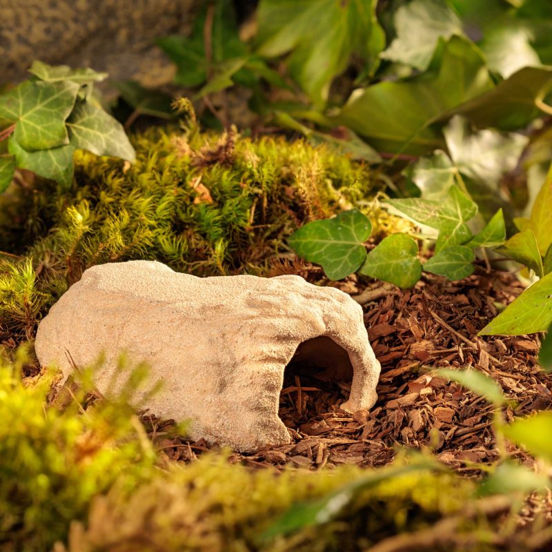 exo-terra-terrarium-den-small-versteck-h-hle image 7