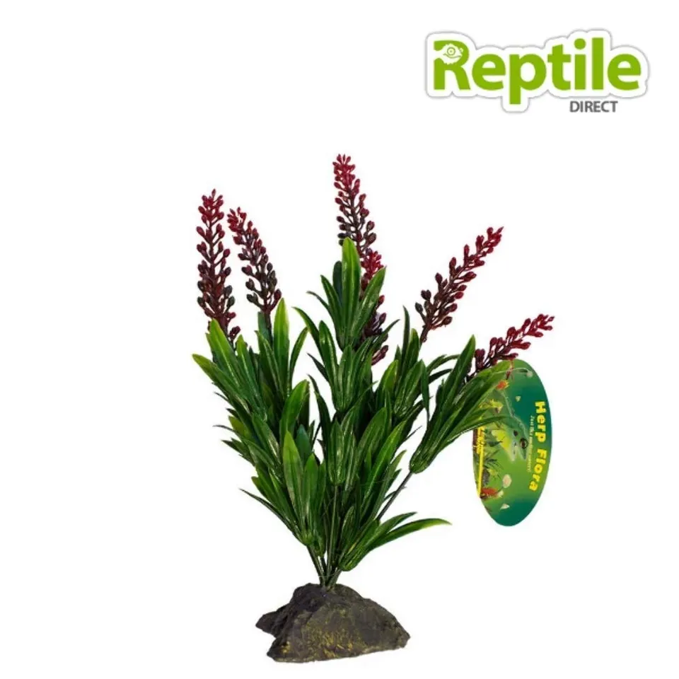 lucky-reptile-tiger-aloe-kunstpflanze-auf-steinsockel-ca-8-cm image 1