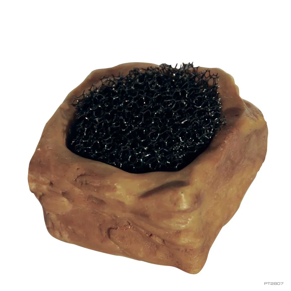 exo-terra-wasserschale-f-r-wirbellose-mit-schaumstoff-v-invertebrate-water-dish image 1