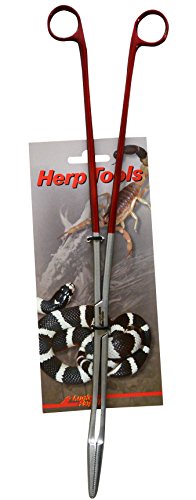 lucky-reptile-futterzange-abgewinkelt-40-cm-terrarium-pinzette image 2