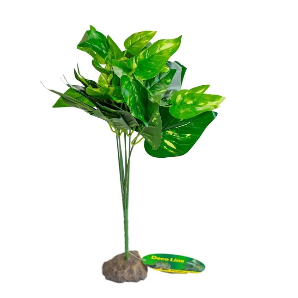 lucky-reptile-scindapsus-gr-n-terrarienpflanze-40-cm-auf-steinsockel image 1