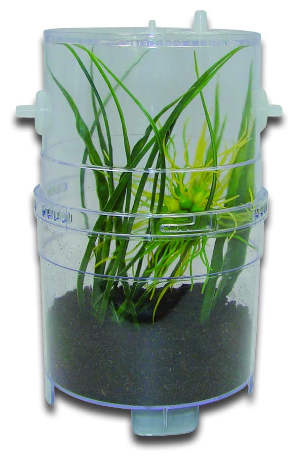 lucky-reptile-critter-box-xl-kleinstterrarium-aufzuchtbox image 7